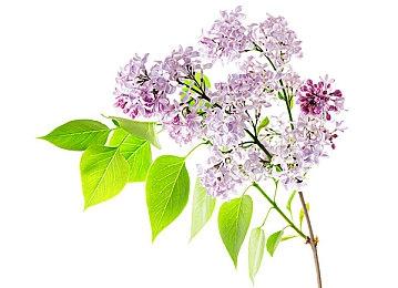 艰难的决定 日版Xbox Series X|S宣布涨价5000日元